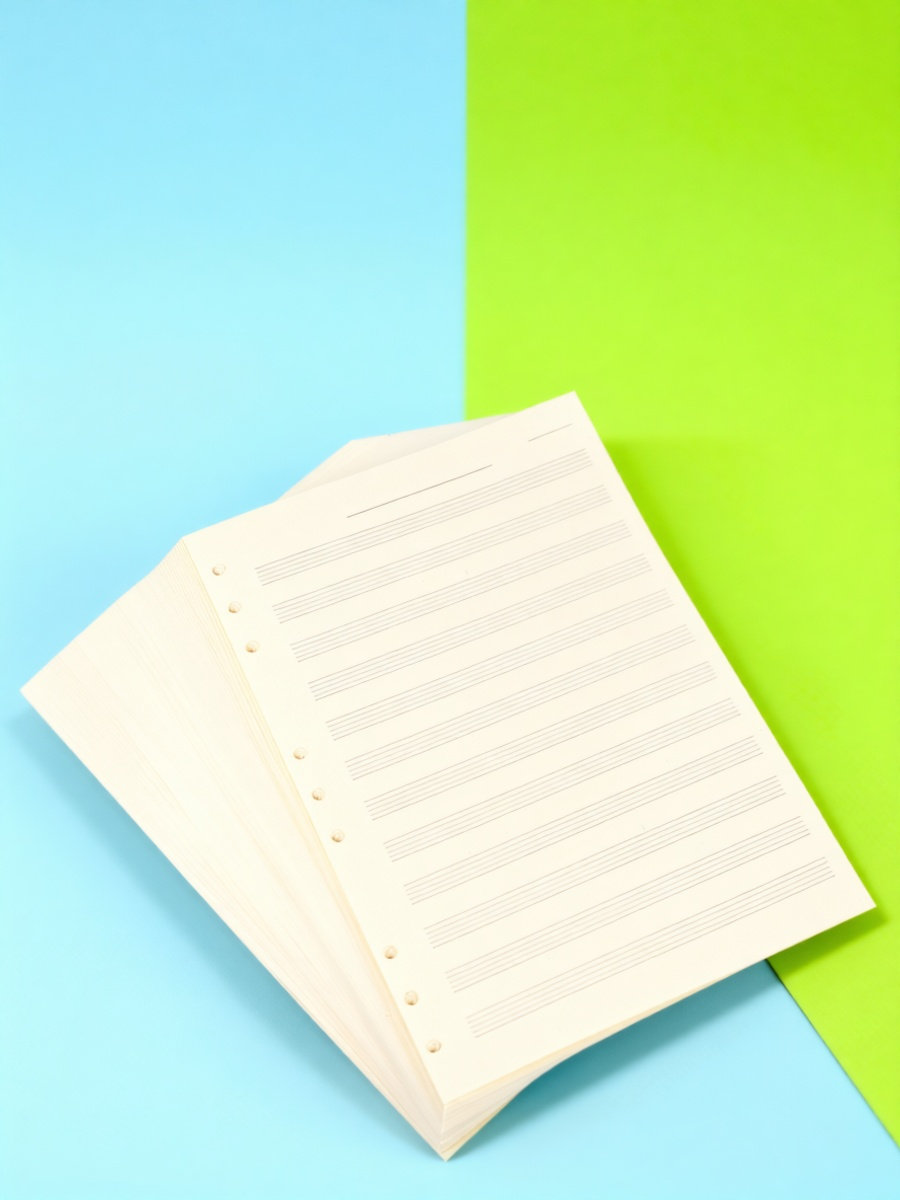 Blank Sheet Music Notebook - 100 folhas de papel para partituras